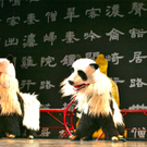 BK_nationalcircus 14_jpg-1302124028