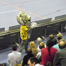 Bild 546_jpg-1302127511