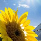 Sonnenenergie_jpg-1302130642