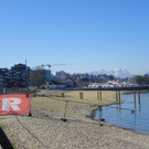 Bild 150_jpg-1302131723