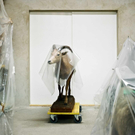Bilder von Klaus Pichler