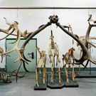 skeletons-09-Web.jpg
