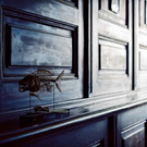 skeletons-17-Kopie-Web.jpg