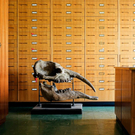 skeletons-29-Kopie-Web.jpg