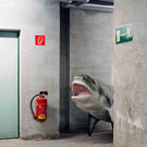 skeletons_shark-web.jpg