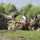 Hellbrunn130509002.jpg
