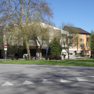 IMG_4239.jpg