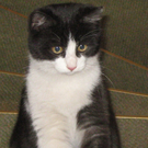 Lenny 1.jpg