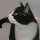Lenny 2.jpg
