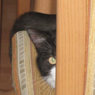 Lenny 3.jpg