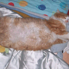 Max von Karin 2.jpg