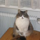 Minki von Patrick aus G__tzis 1.JPG