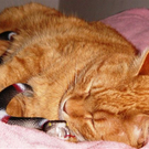 Moritz _10_ von Carina aus Lustenau 14.jpg