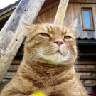 Moritz _10_ von Carina aus Lustenau 2.jpg