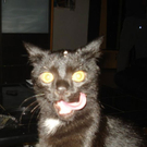 Murphy-von-Jaqueline.jpg