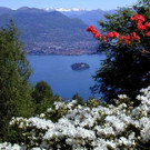 Iso Madre_jpg-1302196999