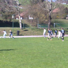 06042011959_jpg-1302204567