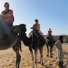 Marokko vom 24_ 03_ - 03_ 04_ 2011 136_jpg-1302240173