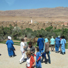 Marokko vom 24_ 03_ - 03_ 04_ 2011 159_jpg-1302240187