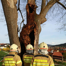 normal_07042011brandbaumstrasswalchenaktivnewszs_1703.jpg