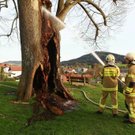 normal_07042011brandbaumstrasswalchenaktivnewszs_1708.jpg