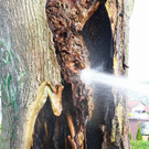 normal_07042011brandbaumstrasswalchenaktivnewszs_1709.jpg