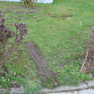 07042011vumuehldorffibaktivnews_20_11_.jpg