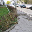 07042011vumuehldorffibaktivnews_20_13_.jpg