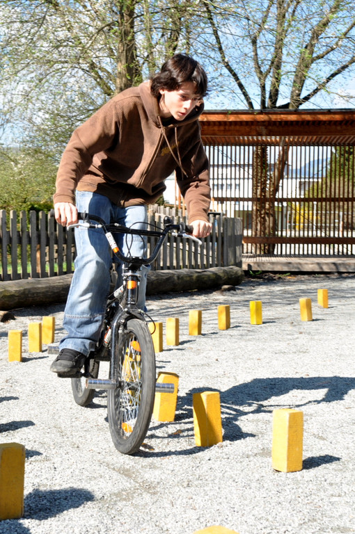 Umweltprojekt044.JPG