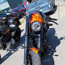 IMG_1131_bearbeitet-1.jpg