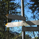 KOE_Fr__hlingswanderung Tostnerburg 1_jpg-1302368484