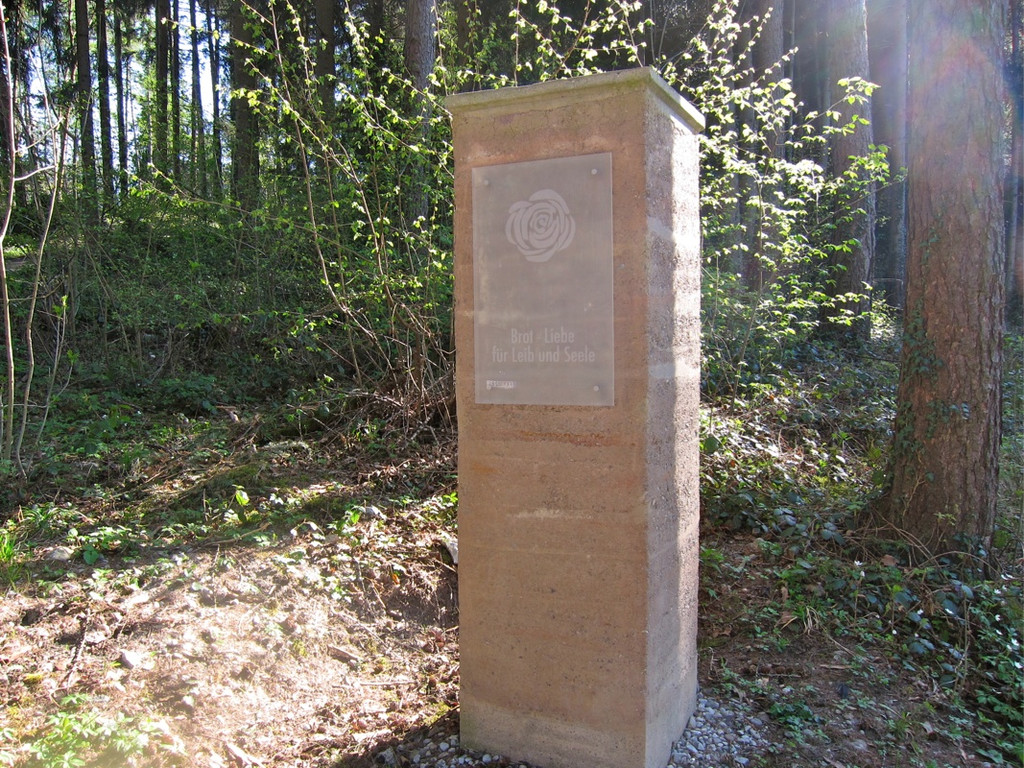 KOE_Fr__hlingswanderung Tostnerburg 2_jpg-1302368496