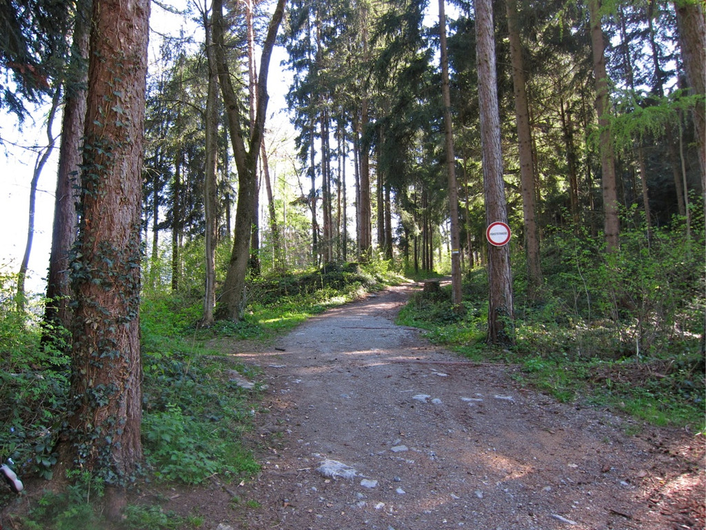 KOE_Fr__hlingswanderung Tostnerburg 3_jpg-1302368507