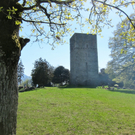 KOE_Fr__hlingswanderung Tostnerburg 6_jpg-1302368530