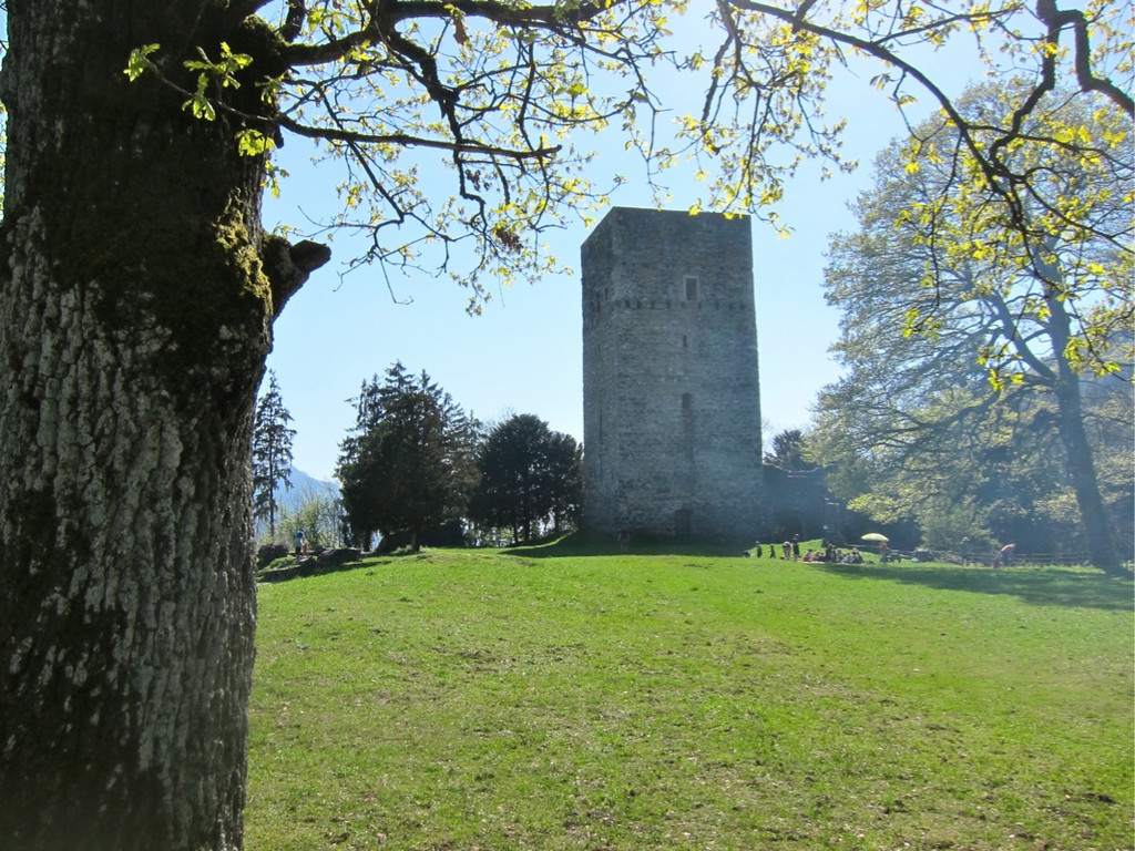 KOE_Fr__hlingswanderung Tostnerburg 6_jpg-1302368530