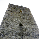 KOE_Fr__hlingswanderung Tostnerburg 9_jpg-1302368557