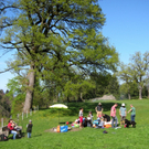 KOE_Fr__hlingswanderung Tostnerburg 11_jpg-1302368573