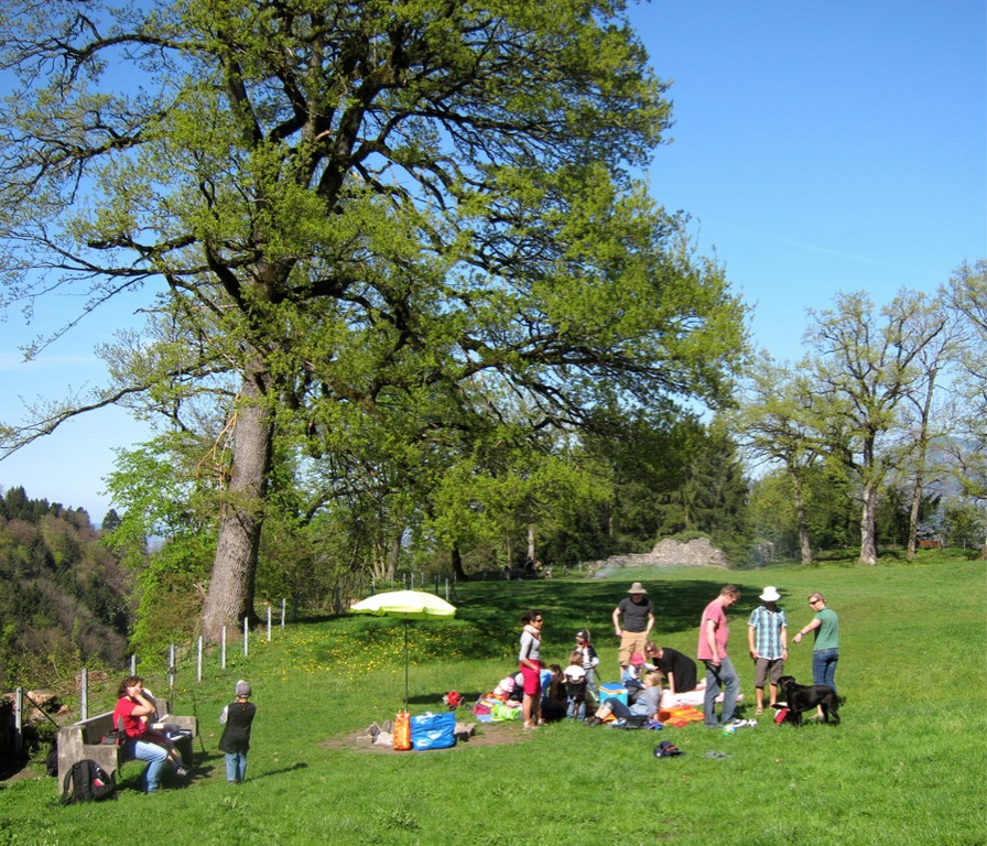 KOE_Fr__hlingswanderung Tostnerburg 11_jpg-1302368573