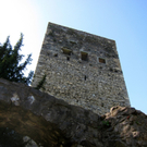 KOE_Fr__hlingswanderung Tostnerburg 13_jpg-1302368587