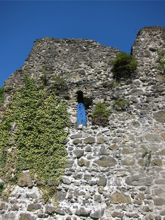 KOE_Fr__hlingswanderung Tostnerburg 14_jpg-1302368598