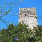 KOE_Fr__hlingswanderung Tostnerburg 17_jpg-1302368620