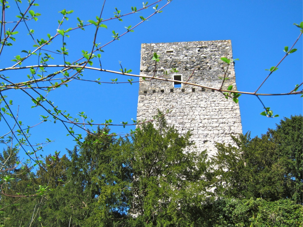 KOE_Fr__hlingswanderung Tostnerburg 17_jpg-1302368620