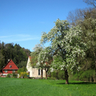 KOE_Fr__hlingswanderung Tostnerburg 21_jpg-1302368651