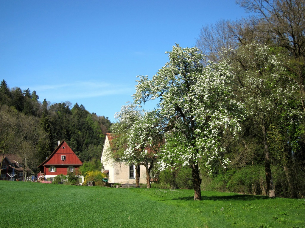 KOE_Fr__hlingswanderung Tostnerburg 21_jpg-1302368651