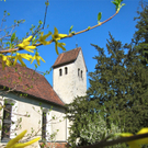 KOE_Fr__hlingswanderung Tostnerburg 28_jpg-1302368709