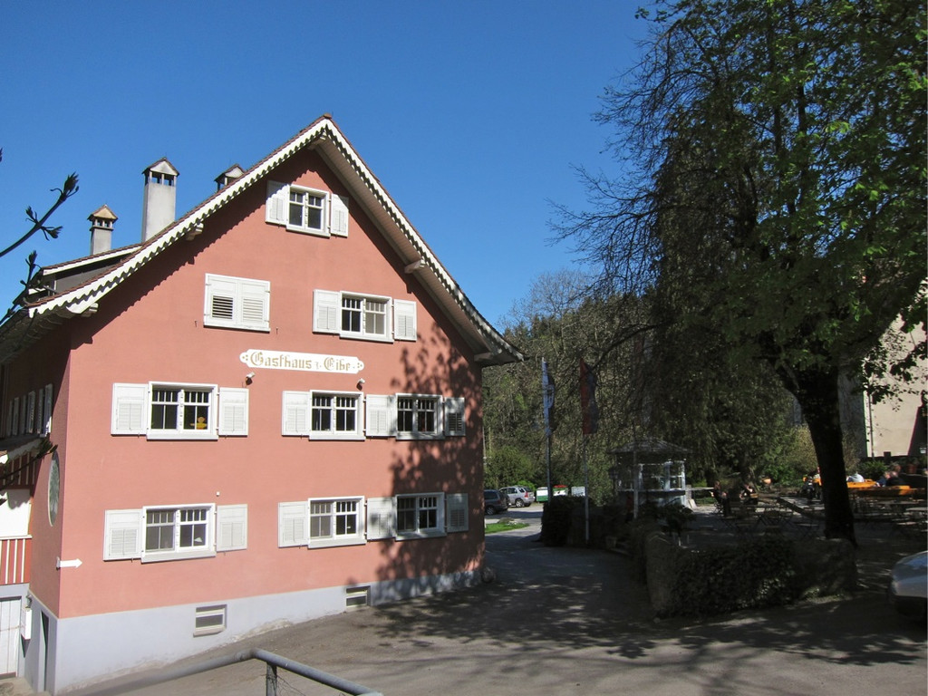 KOE_Fr__hlingswanderung Tostnerburg 32_jpg-1302368739