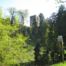 KOE_Fr__hlingswanderung Tostnerburg 33_jpg-1302368749