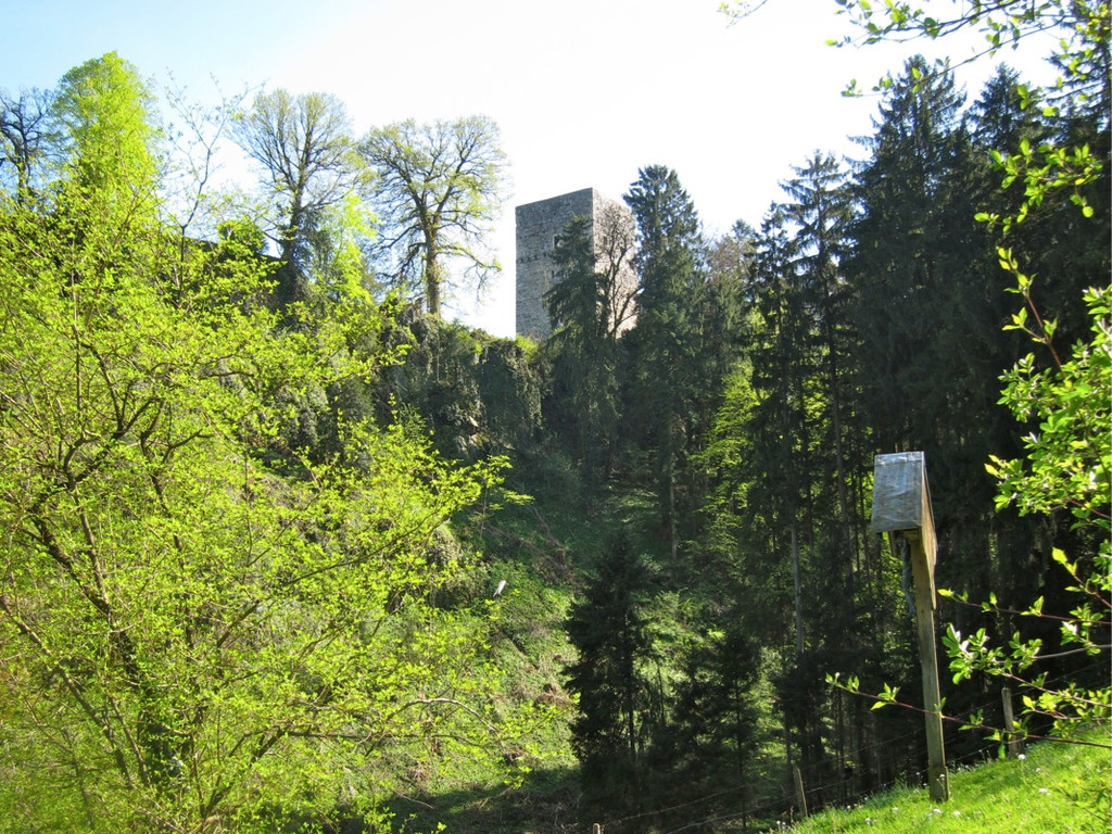 KOE_Fr__hlingswanderung Tostnerburg 33_jpg-1302368749