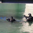 109_9146_JPG-1302381276