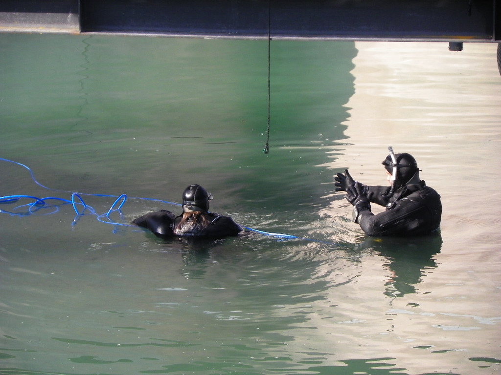 109_9146_JPG-1302381276